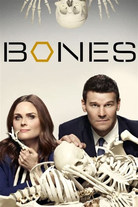 imdb bones|imdb bones season 4.